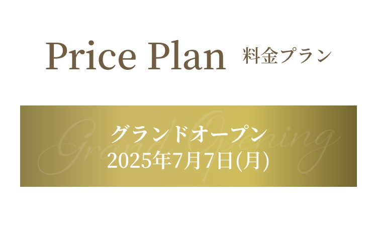 料金プラン1